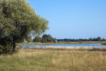 Réserve naturelle, Station de Lagunage, Rochefort, 17, Charente Maritime, France