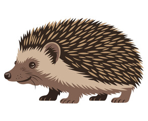 A charming illustration of a brown hedgehog with detailed spines and features