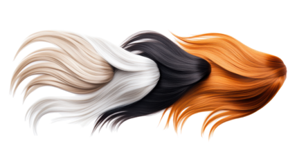 Assorted Colored Wigs on Transparent Background