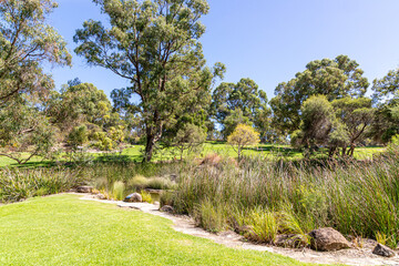 The Water Garden in Kings Park and Botanic Garden, Perth, Western Australia, WA, Australia