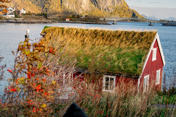 Reine on Norsk Lofoten