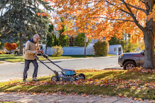 Passer la tondeuse sur les feuilles &agrave; l'automne
