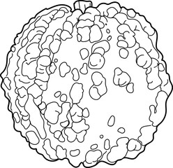 Coloring page with pumpkin with an unusual surface covered with warts
