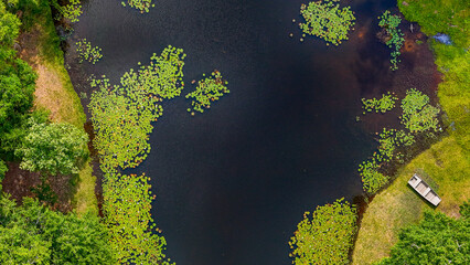 Aerial top down nature landscape of rural Deep South Carriere Pearl River County Mississippi MS © Andrew