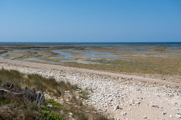 Rocky Coastal Shore under Clear Blue Sky,Ile de Ré, Charente-Maritime, France