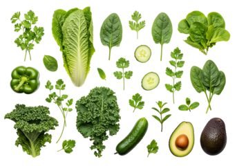 Assortment of Fresh Green Vegetables for Healthy Eating.