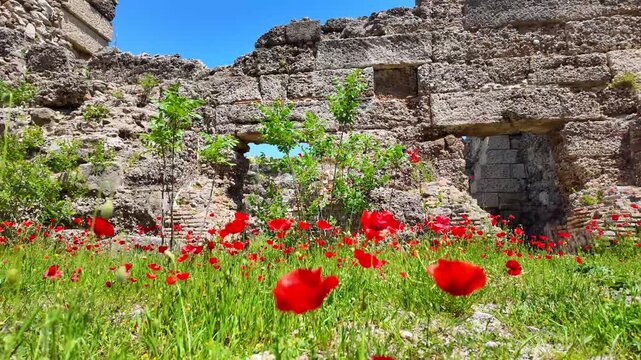 Archeological site documenting Roman baths ruins in Thermae, Side, Turkey focused on understanding daily living and social interactions in Roman Empire