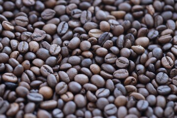Coffee beans dark background, food ingredient photo close up