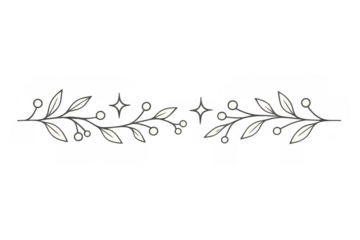 Decorative divider illustrating elegant floral flourishes, leaves, branches, dots, and stars. Transparent background
