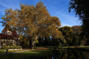Obraz premium Autumn in public park in Pottendorf,Lower Austria,Austria,Europe 