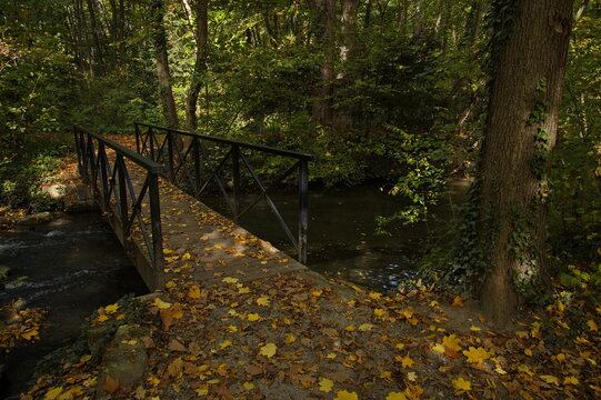Autumn in public park in Pottendorf,Lower Austria,Austria,Europe
