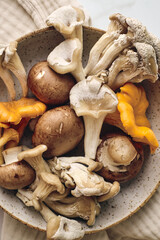 Fresh wild mushrooms: chanterelles, oyster mushrooms and champignons on plate on light table