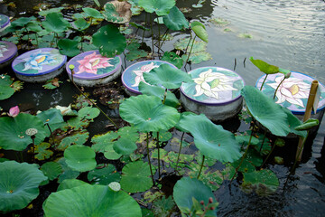 lotus pond, Ubud water palace 