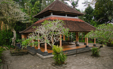 Fototapeta premium Bali temple 