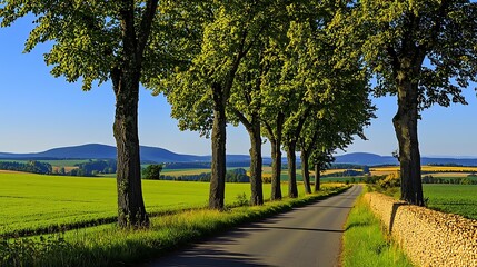 Scenic view of countryside path flanked by trees and grassy fields with distant mountains under clear sky
