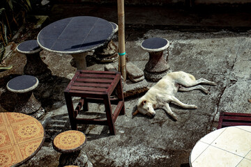 Besakih Temple, Bali, Indonesia
