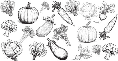 Set of outline drawings of vegetables: pumpkin, carrot, eggplant, greens