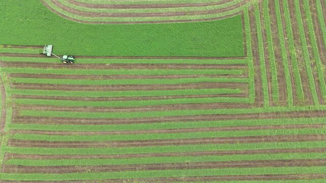 Tractor cutting grass into windrows in a lush green field during daytime