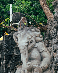 monkey above the elephant statue, Uluwatu temple