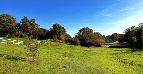 Under a crisp blue sky, autumn unfurls in golden hues. Trees and shrubs edge the land, where a weathered fence lends quiet charm to Norwood Green, Halifax, UK