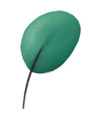 eucalyptus foliage on the transparent background