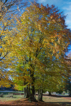 Monte Livata - Campo dell'Osso - Subiaco - Roma - Lazio - Italia