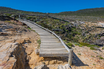 Wanderweg oberhalb des Dias Beach in S&uuml;dafrika