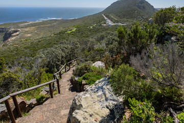 Wanderweg oberhalb des Dias Beach in Südafrika