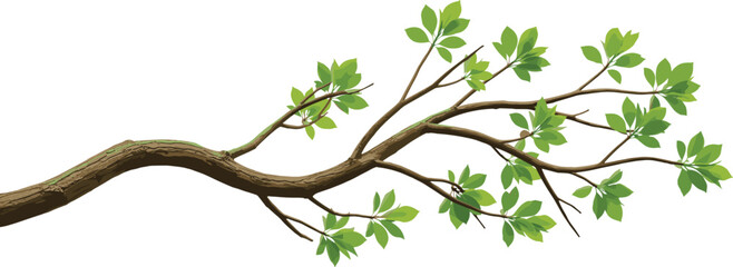 Realistic illustration of a horizontal tree branch with vibrant green leaves, symbolizing spring growth, nature, and organic freshness, isolated vector element for ecology and environment design