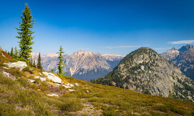 Scenic Mountain Peaks View from Maple Pass Loop Trail