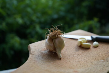 Whole and peeled garlic ready for cooking on a wooden board.