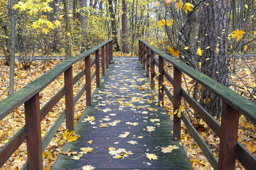 Wooden pathway with fallen maple leaves and wooden railings direct going through the beautiful empty autumn park