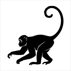 Black silhouette of a spider monkey