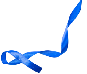 Shiny ribbons. Vector realistic elements for your design greeting or gift card and invitation for holidays. Isolated from the background. Set of swirl ribbons on white background