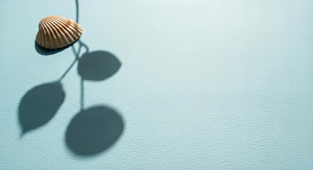 Seashell hanging with leaf shadows on blue background.