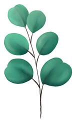 Watercolor eucalyptus branch with green leaves