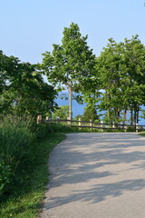 road in the park