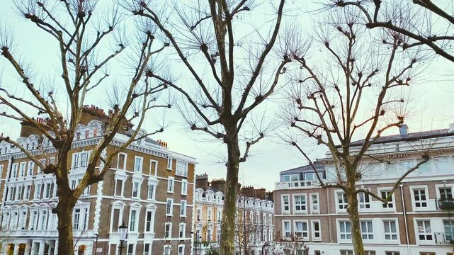 Stucco, Stock Brick Buildings, Classical Revival Mansions Exterior, Bare London Plane Trees In Winter, Victorian Terraces, Historic Development, West London, England