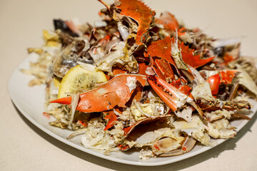 Seafood scraps collected on a clean white plate, set for composting, showcasing conscious food waste practices and eco-conscious living.