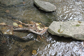 water cascading down a stream