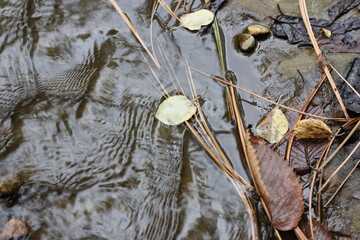 water cascading down a stream