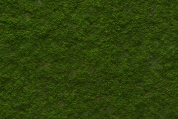 Fototapeta premium Moss-Covered Stone Seamless Surface Texture