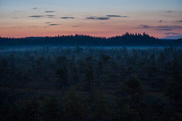 Misty bogs at night in the forests of Finland