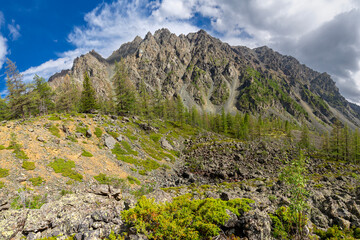 Panorama of a steep rocky ridge and larch forest