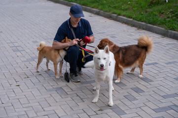 Fototapety na wymiar - Fototapeta24.pl
