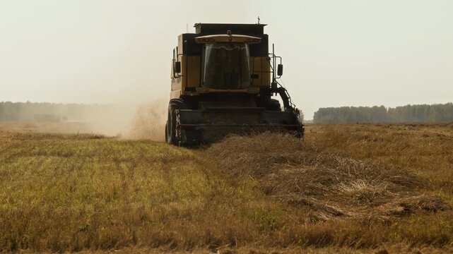 Cinematic wide angle shot of huge combine harvester machine moving towards camera in wheat field, copy space