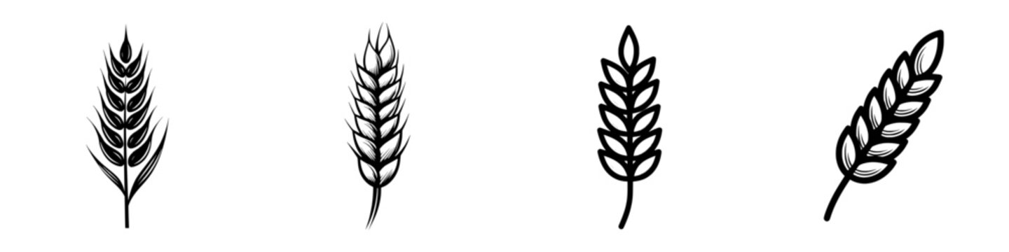 Modern flat style illustration of wheat, barley, rye, or rice grain icon, including an ear of wheat icon, isolated on a white background