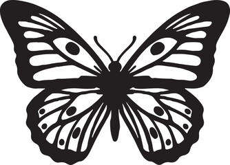 Elegant butterfly illustration with vibrant colors