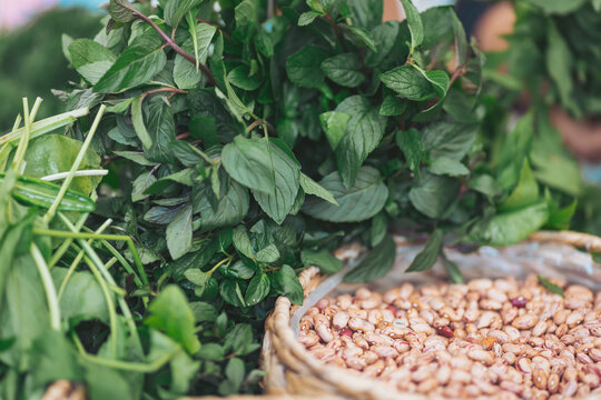 Fresh green herbs and beans create a vibrant market scene filled with natural abundance and diverse flavors, inviting shoppers to embrace culinary creativity