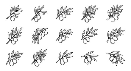 A delicate and intricate line art illustration showcases a collection of five distinct botanical elements, each rendered with fine, precise lines against a stark black background, evoking a sense of